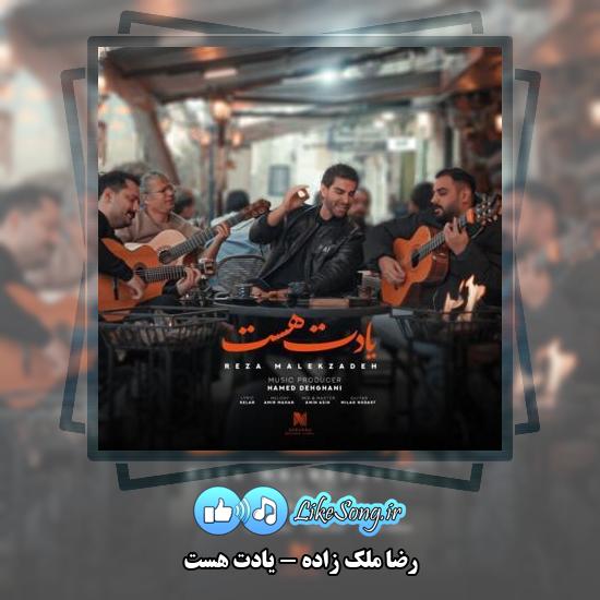 دانلود آهنگ رضا ملک زاده یادت هست 1 دانلود آهنگ رضا ملک زاده یادت هست